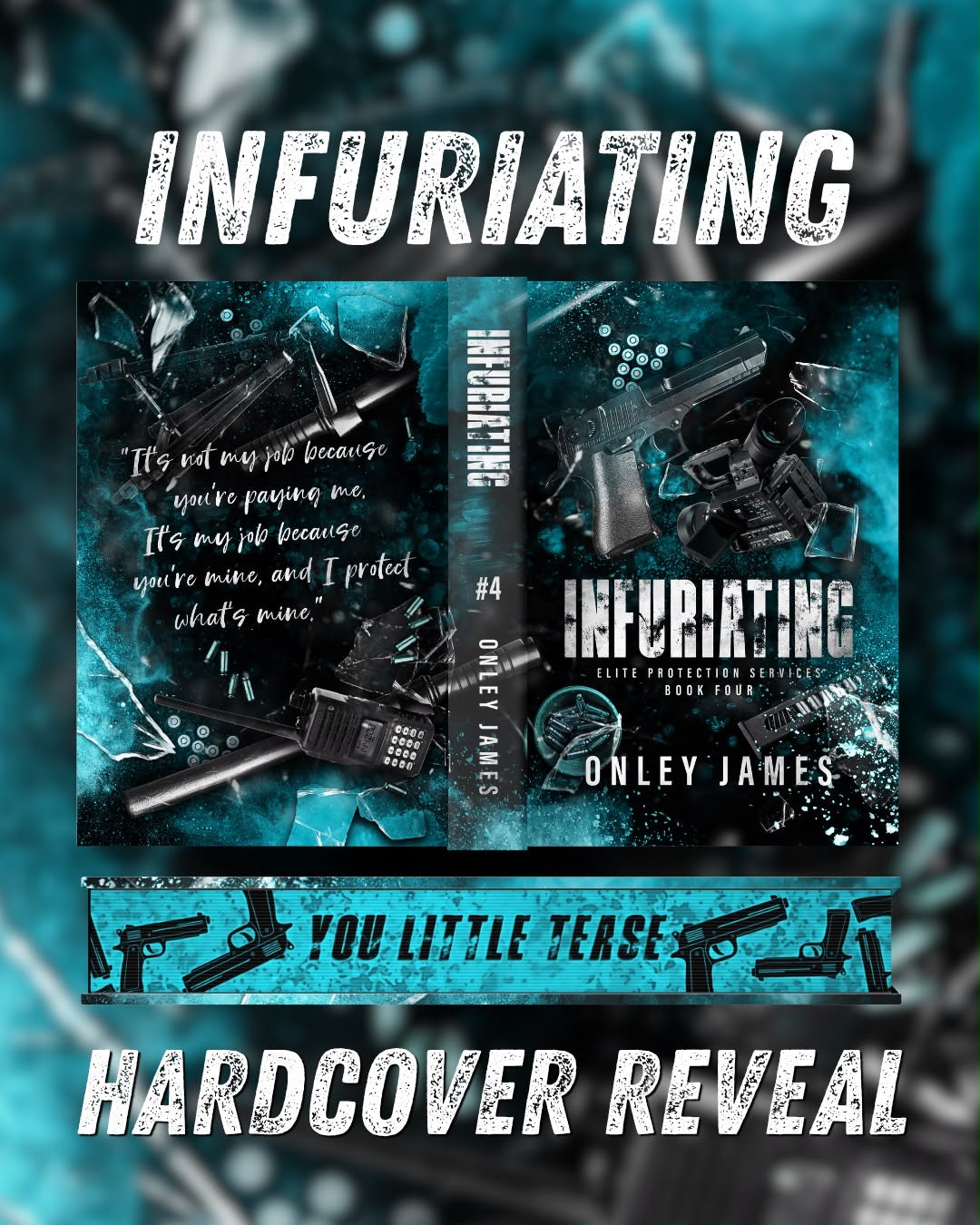 US, CAN & MEX Exasperating, Infuriating & Satisfying PRE-ORDER