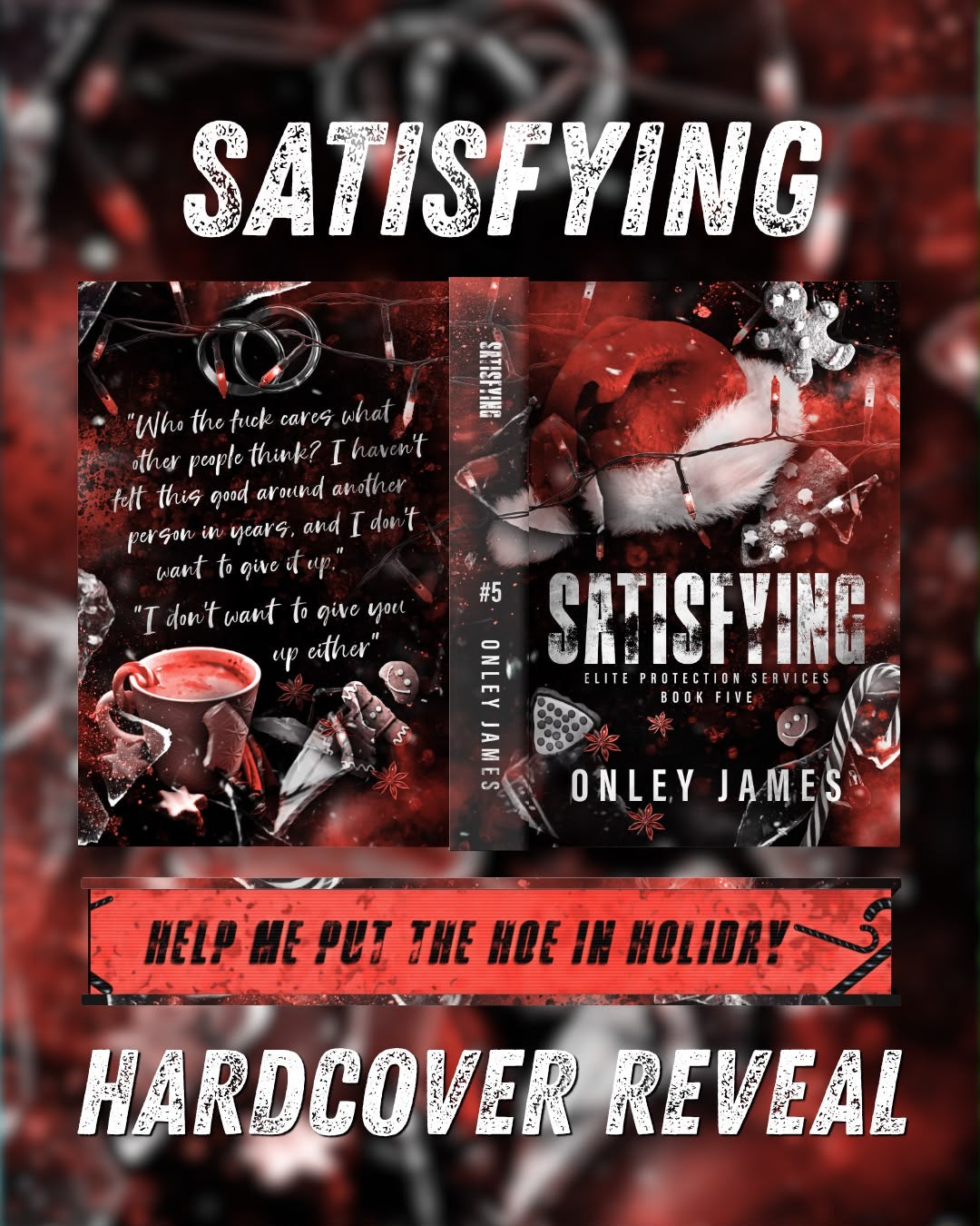 US, CAN & MEX Exasperating, Infuriating & Satisfying PRE-ORDER
