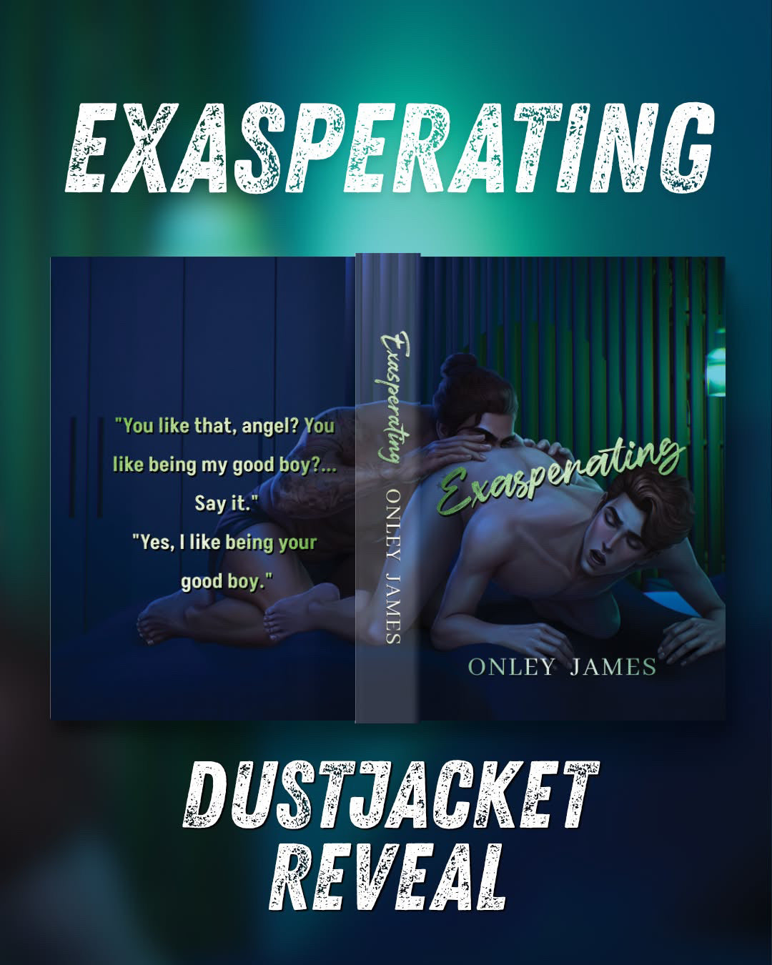 US, CAN & MEX Exasperating, Infuriating & Satisfying PRE-ORDER